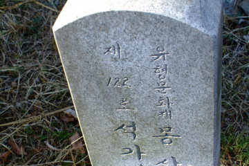 레인보우캐슬리조트 여행 추천 - 메고지고