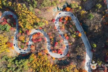 소백산자연휴양림 여행 추천 - 메고지고