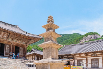 내소사 전나무 숲길 여행 추천 - 메고지고