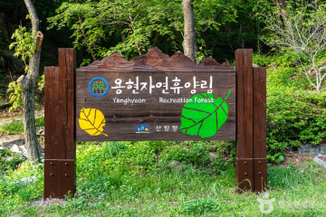 용현계곡 여행 추천 - 메고지고