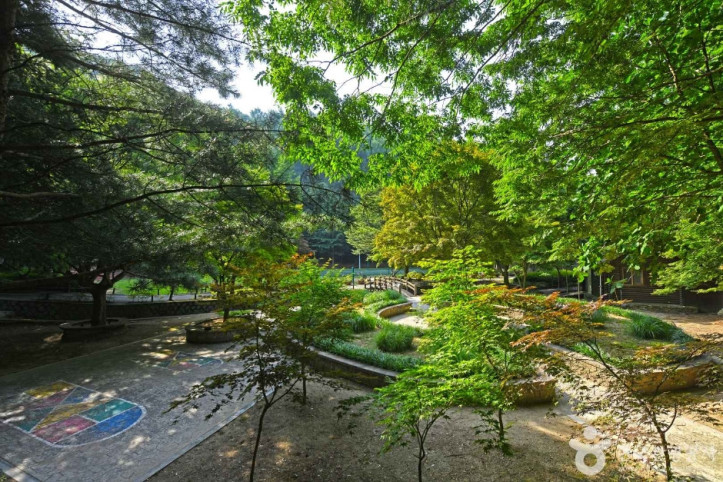 봉학골산림욕장 여행 추천 - 메고지고