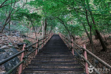 광덕사(천안) 여행 추천 - 메고지고