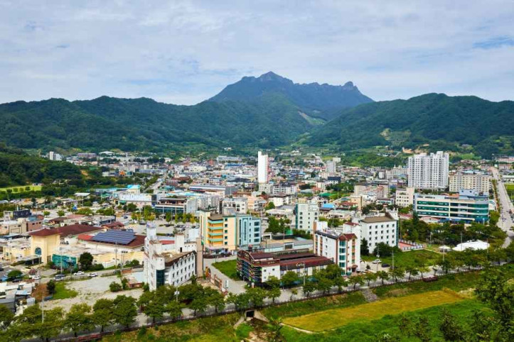 봉명산 출렁다리 여행 추천 - 메고지고