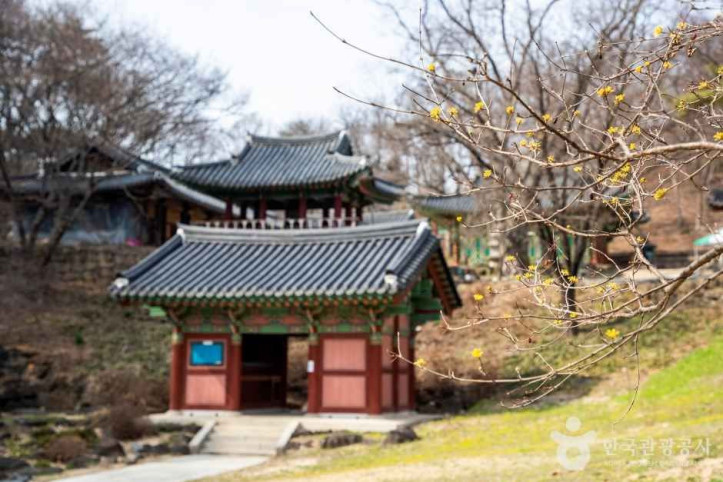 도피안사(철원) 여행 추천 - 메고지고