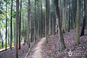 회동수원지 여행 추천 - 메고지고