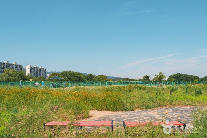팔현생태공원 여행 추천 - 메고지고