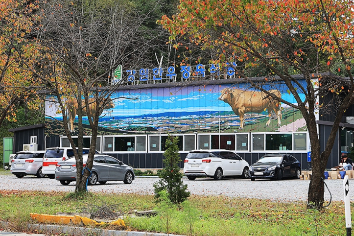 강원한우정육식당_5_공공3유형.JPG