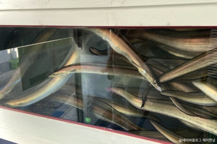 하얀집_3_공공3유형.jpeg