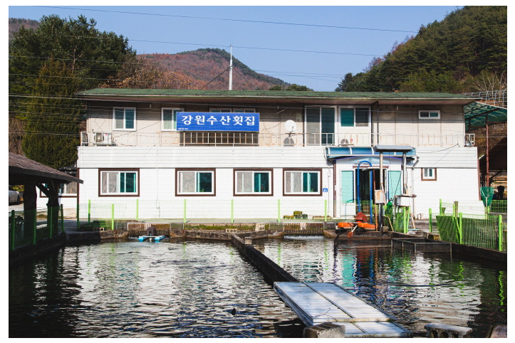 강원수산횟집_2_공공3유형.jpg