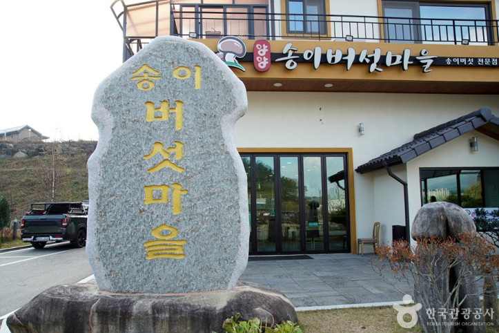 송이버섯마을_3_공공3유형.jpg