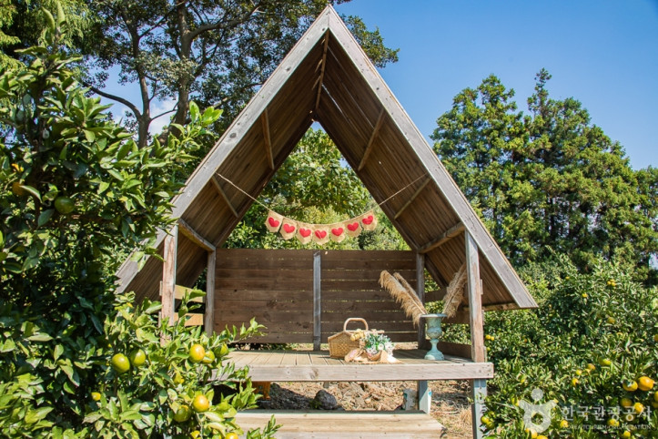 서귀포_제주에인_감귤밭_카페_8_공공3유형.jpg