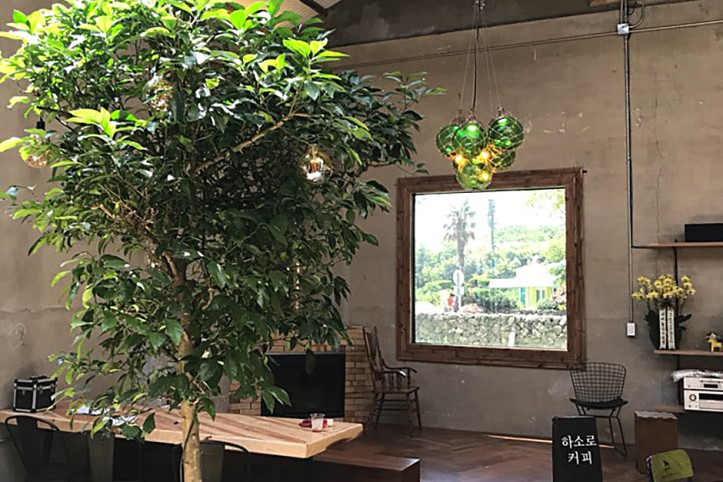 하소로커피_3_공공3유형.jpg