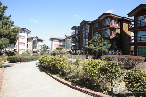 제주 금강산콘도