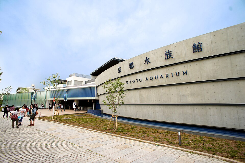 교토 수족관 (Kyoto Aquarium) 여행 추천 - 로드트립