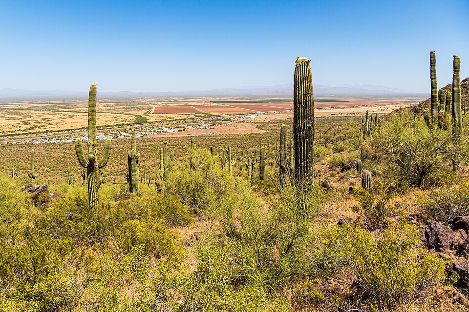 피카초 피크 헌터 트레일 (Hunter Trail, Picacho Peak State Park) 여행 추천 - 로드트립