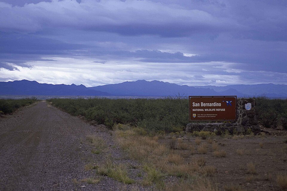 샌버너디노 국립야생동물보호구역 (San Bernardino National Wildlife Refuge) 여행 추천 - 로드트립