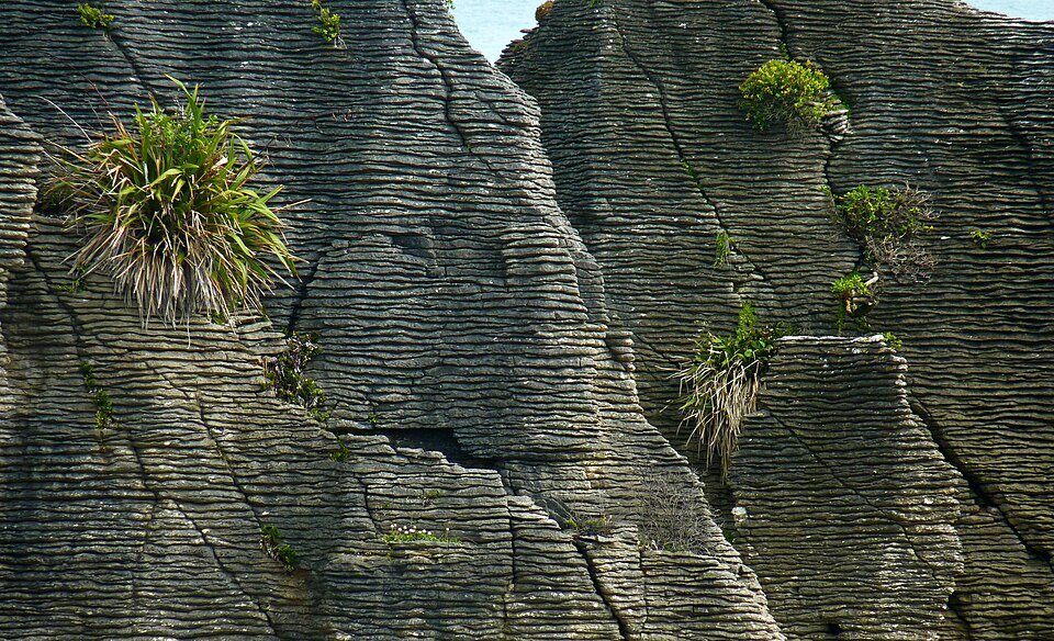 푸나카이키 팬케이크 록스 (Punakaiki Pancake Rocks and Blowholes) 여행 추천 - 로드트립