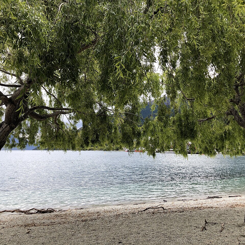 퀸스타운 가든스 (Queenstown Gardens / Te Kararo) 여행 추천 - 로드트립