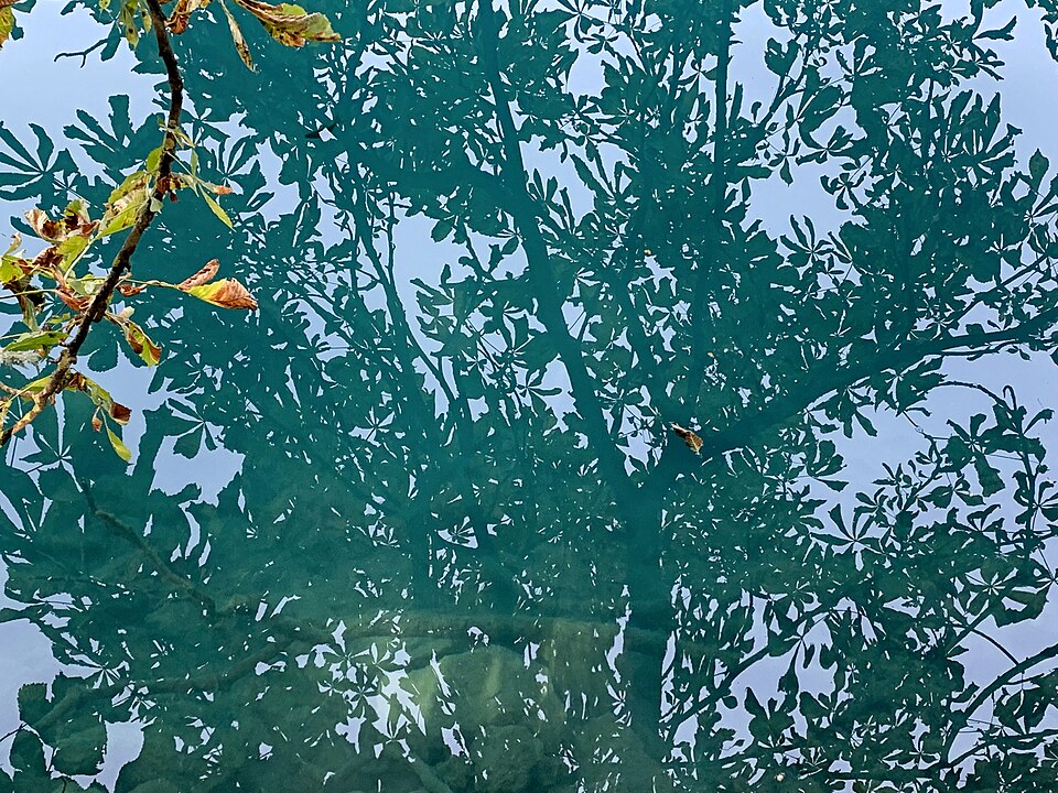 브레드 호수 (Lake Bled) 여행 추천 - 로드트립
