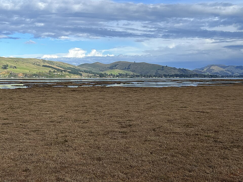 아라모아나 염습지와 모래곶 (Aramoana Saltmarsh and Spit) 여행 추천 - 로드트립