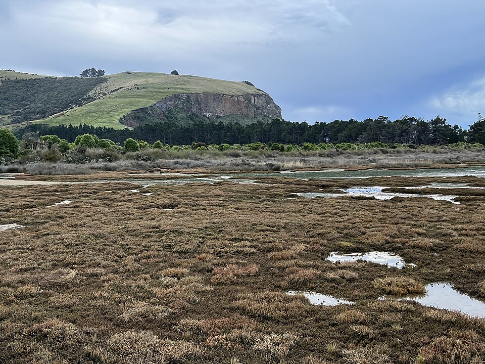 아라모아나 염습지와 모래곶 (Aramoana Saltmarsh and Spit) 여행 추천 - 로드트립