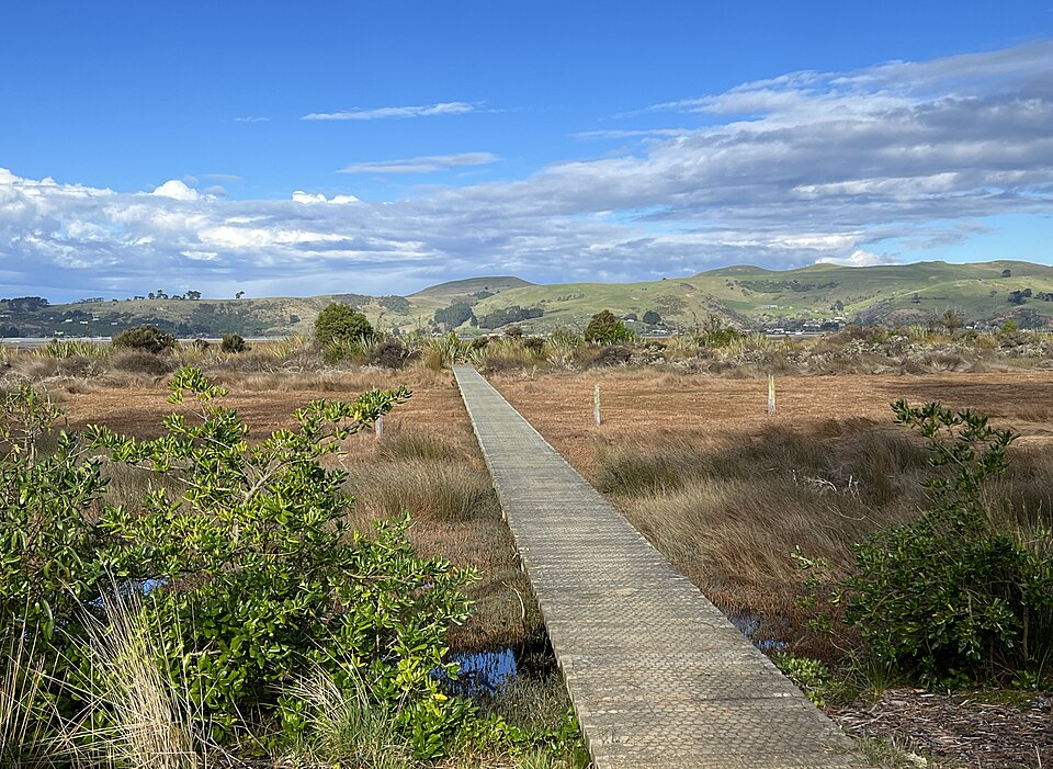 아라모아나 염습지와 모래곶 (Aramoana Saltmarsh and Spit) 여행 추천 - 로드트립