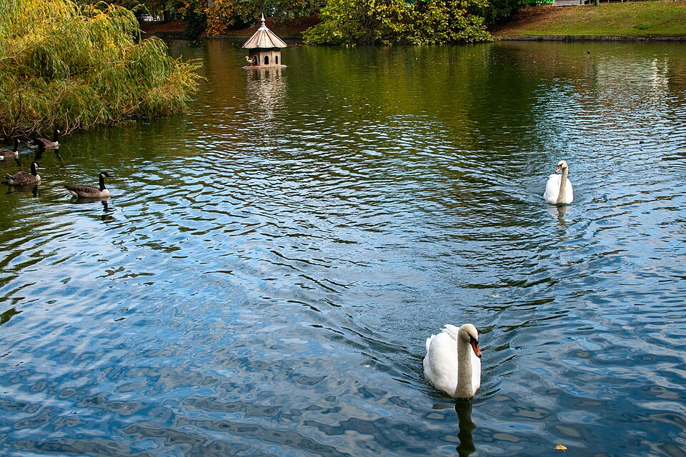 익셀 연못 (Ixelles Ponds / Étangs d’Ixelles) 여행 추천 - 로드트립