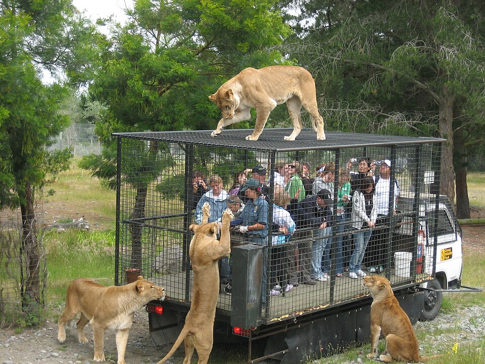 오라나 야생동물 공원 (Orana Wildlife Park) 여행 추천 - 로드트립