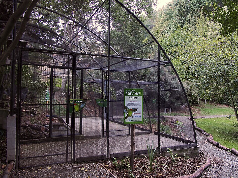 퀸스타운 키위 파크 (Kiwi Park Queenstown) 여행 추천 - 로드트립