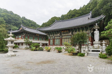 동천자연식물원 여행 추천 - 메고지고