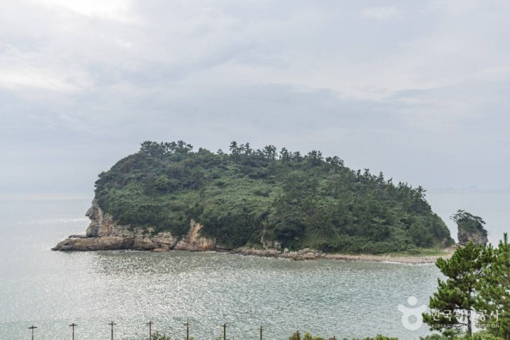 하의도 여행 추천 - 메고지고