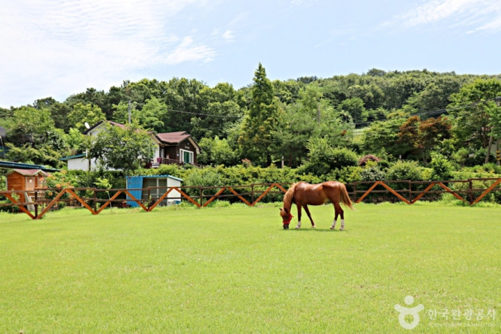 대파니힐링팜 여행 추천 - 메고지고