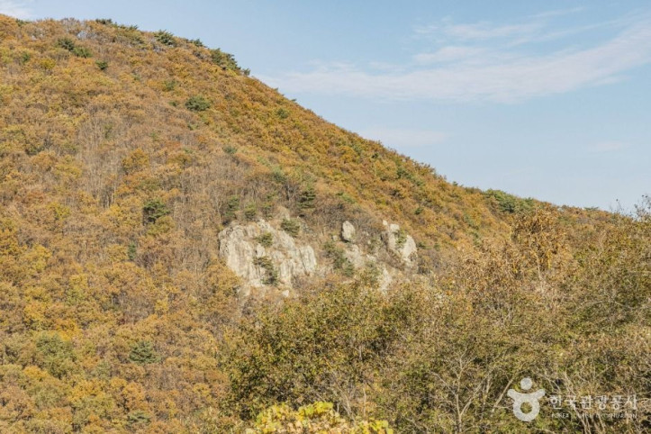다도해해상국립공원(고흥) 여행 추천 - 메고지고