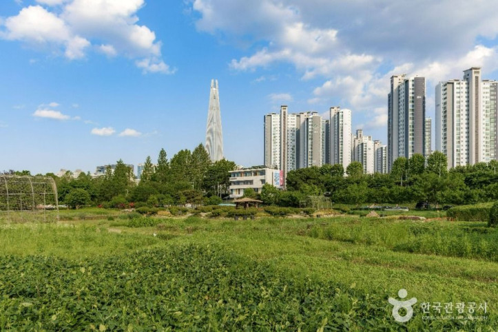 잠실한강공원 여행 추천 - 메고지고