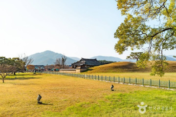 경주 계림 여행 추천 - 메고지고