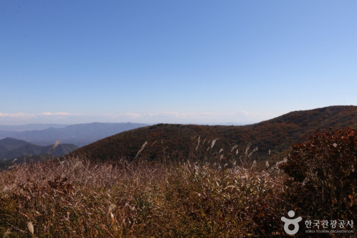 고헌산(울산) 여행 추천 - 메고지고