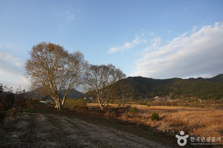북면수변생태공원 여행 추천 - 메고지고