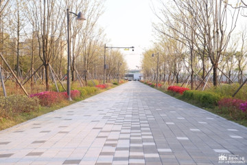 신동수변공원 여행 추천 - 메고지고