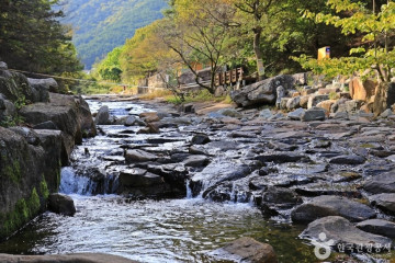 두릉서원 여행 추천 - 메고지고