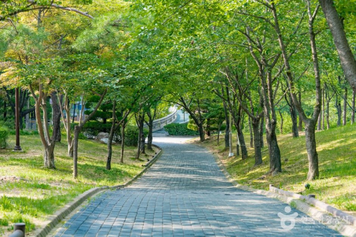 비둘기공원 여행 추천 - 메고지고