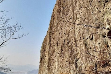 용당나루 매화공원 여행 추천 - 메고지고