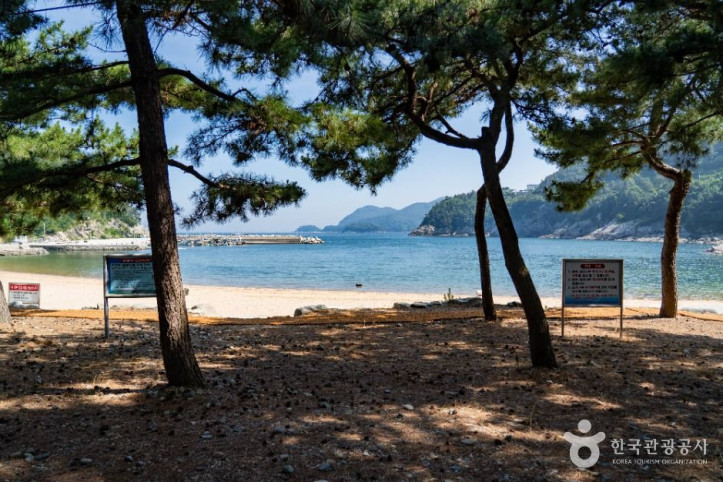 방죽포해수욕장 여행 추천 - 메고지고