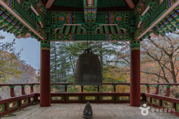 금풀애마을 여행 추천 - 메고지고