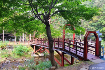 분천 산타마을 여행 추천 - 메고지고
