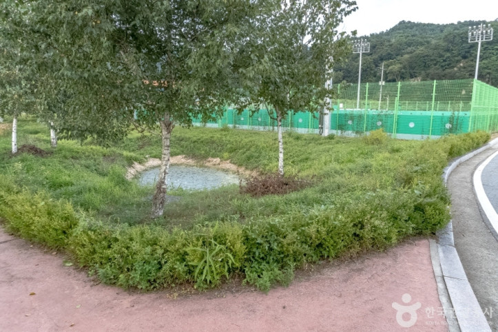 사내체육공원 여행 추천 - 메고지고