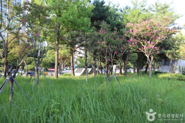 갈마공원 여행 추천 - 메고지고