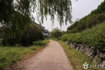 용두동 쭈꾸미골목 여행 추천 - 메고지고