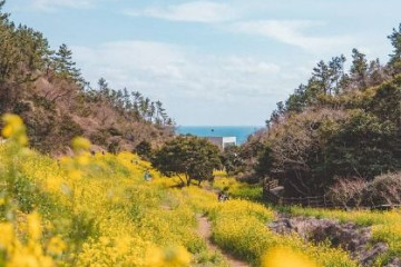광명사(제주) 여행 추천 - 메고지고