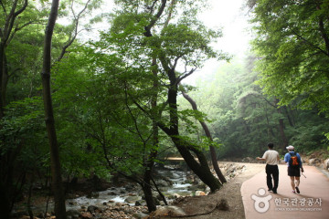 상원사(용문산) 여행 추천 - 메고지고
