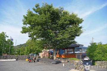 미암사 여행 추천 - 메고지고